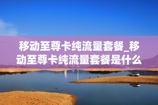 移动至尊卡纯流量套餐_移动至尊卡纯流量套餐是什么