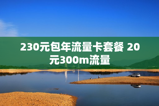 230元包年流量卡套餐 20元300m流量