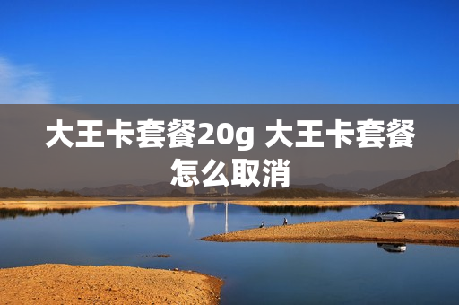 大王卡套餐20g 大王卡套餐怎么取消