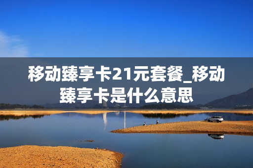 移动臻享卡21元套餐_移动臻享卡是什么意思