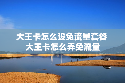大王卡怎么设免流量套餐 大王卡怎么弄免流量