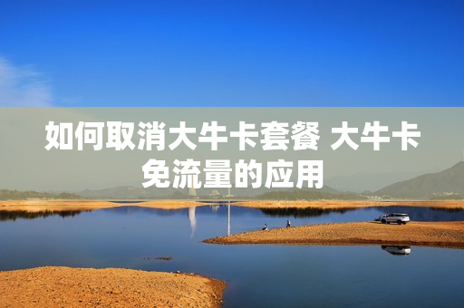 如何取消大牛卡套餐 大牛卡免流量的应用