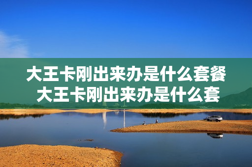 大王卡刚出来办是什么套餐 大王卡刚出来办是什么套餐的