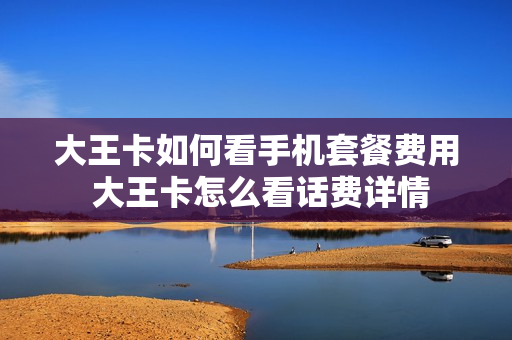 大王卡如何看手机套餐费用 大王卡怎么看话费详情