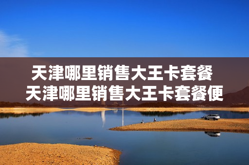 天津哪里销售大王卡套餐 天津哪里销售大王卡套餐便宜