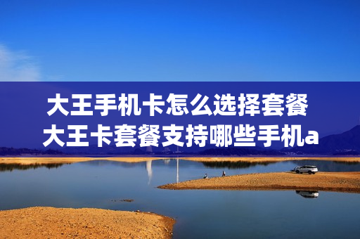 大王手机卡怎么选择套餐 大王卡套餐支持哪些手机app