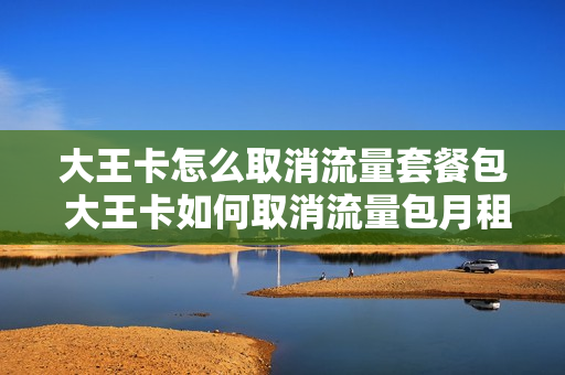 大王卡怎么取消流量套餐包 大王卡如何取消流量包月租费