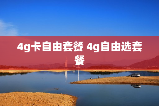 4g卡自由套餐 4g自由选套餐
