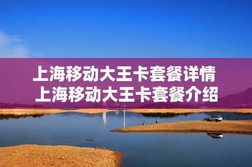 上海移动大王卡套餐详情 上海移动大王卡套餐介绍