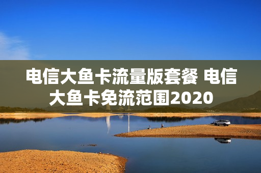 电信大鱼卡流量版套餐 电信大鱼卡免流范围2020