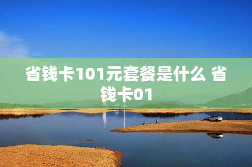 省钱卡101元套餐是什么 省钱卡01