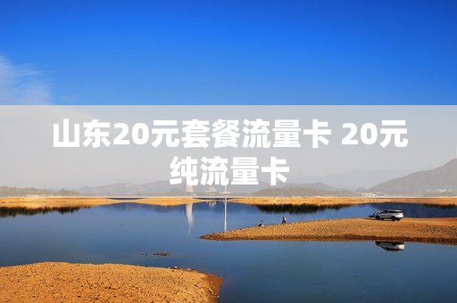 山东20元套餐流量卡 20元纯流量卡