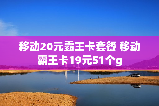 移动20元霸王卡套餐 移动霸王卡19元51个g