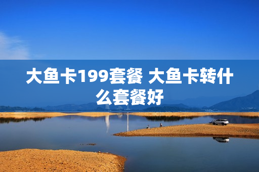 大鱼卡199套餐 大鱼卡转什么套餐好