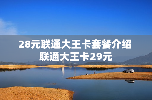 28元联通大王卡套餐介绍 联通大王卡29元