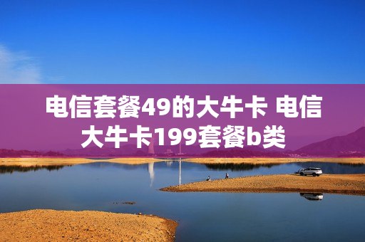 电信套餐49的大牛卡 电信大牛卡199套餐b类
