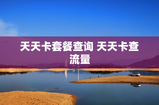 天天卡套餐查询 天天卡查流量