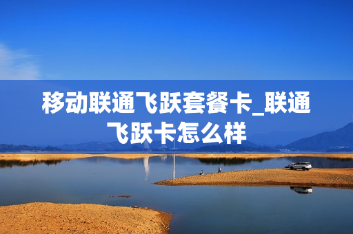 移动联通飞跃套餐卡_联通飞跃卡怎么样