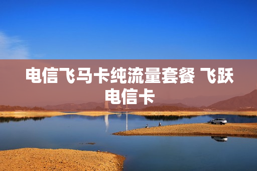 电信飞马卡纯流量套餐 飞跃电信卡