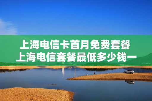 上海电信卡首月免费套餐 上海电信套餐最低多少钱一个月