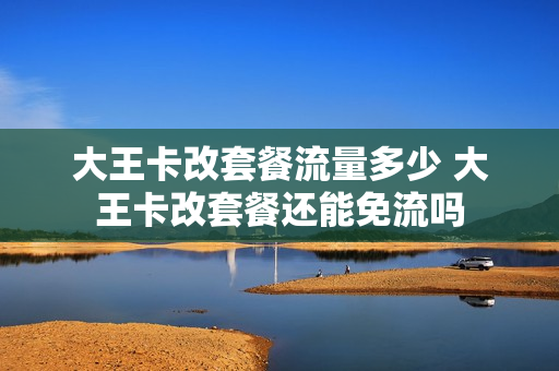 大王卡改套餐流量多少 大王卡改套餐还能免流吗
