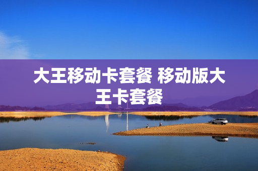 大王移动卡套餐 移动版大王卡套餐