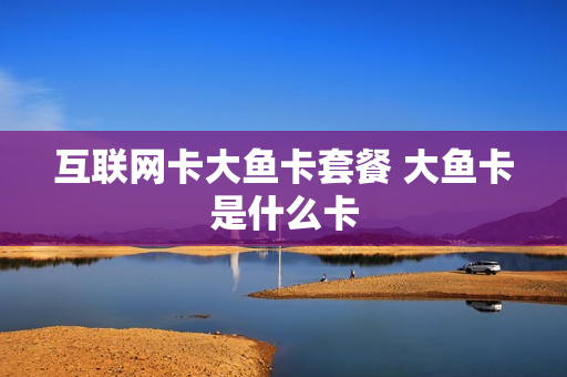 互联网卡大鱼卡套餐 大鱼卡是什么卡