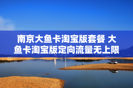 南京大鱼卡淘宝版套餐 大鱼卡淘宝版定向流量无上限