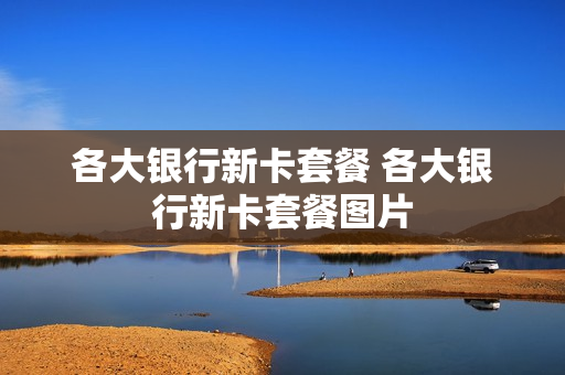 各大银行新卡套餐 各大银行新卡套餐图片
