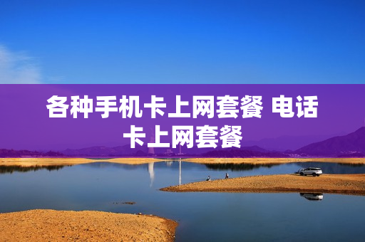 各种手机卡上网套餐 电话卡上网套餐