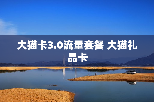 大猫卡3.0流量套餐 大猫礼品卡