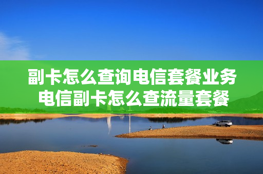 副卡怎么查询电信套餐业务 电信副卡怎么查流量套餐