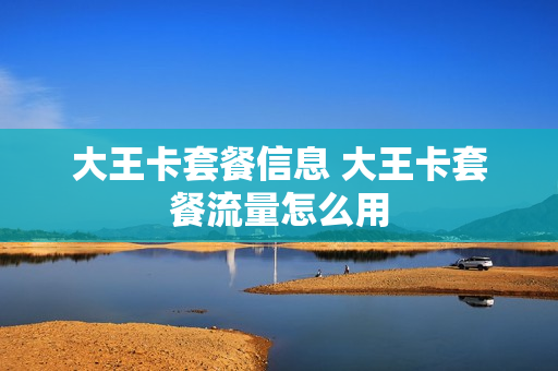 大王卡套餐信息 大王卡套餐流量怎么用