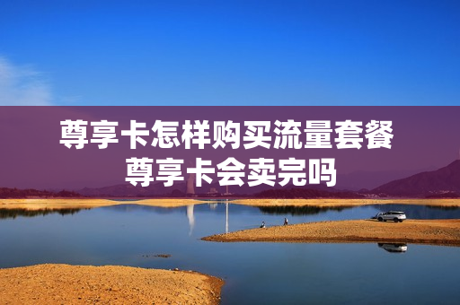 尊享卡怎样购买流量套餐 尊享卡会卖完吗