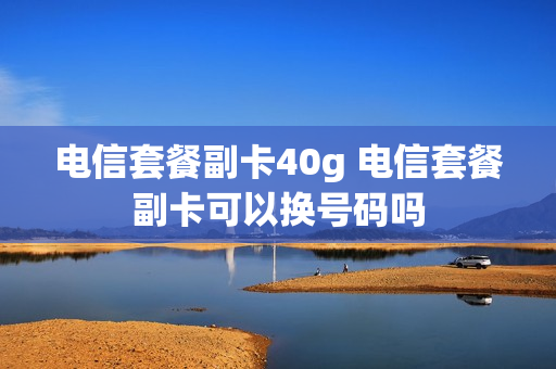 电信套餐副卡40g 电信套餐副卡可以换号码吗