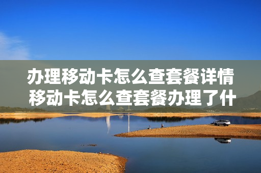 办理移动卡怎么查套餐详情 移动卡怎么查套餐办理了什么业务