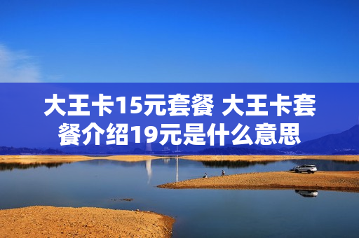 大王卡15元套餐 大王卡套餐介绍19元是什么意思