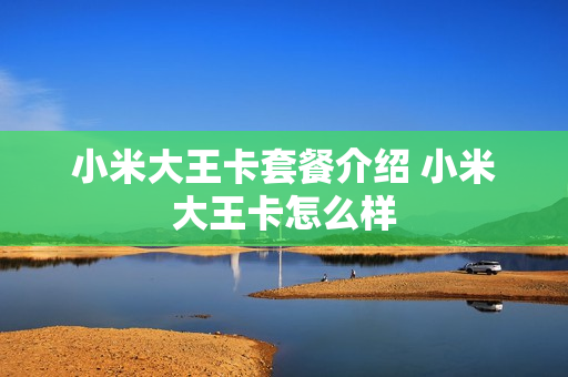 小米大王卡套餐介绍 小米大王卡怎么样