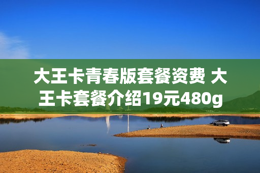 大王卡青春版套餐资费 大王卡套餐介绍19元480g