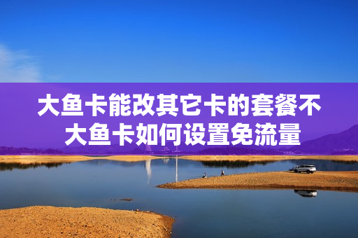 大鱼卡能改其它卡的套餐不 大鱼卡如何设置免流量