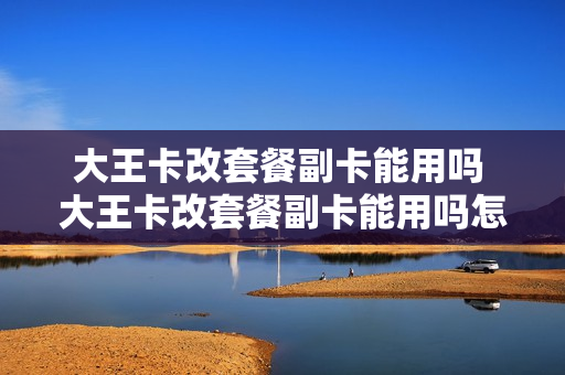 大王卡改套餐副卡能用吗 大王卡改套餐副卡能用吗怎么改
