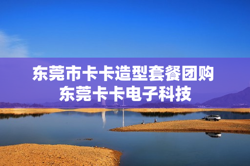 东莞市卡卡造型套餐团购 东莞卡卡电子科技