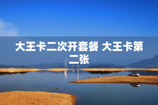 大王卡二次开套餐 大王卡第二张