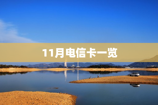 11月电信卡一览