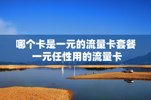 哪个卡是一元的流量卡套餐 一元任性用的流量卡