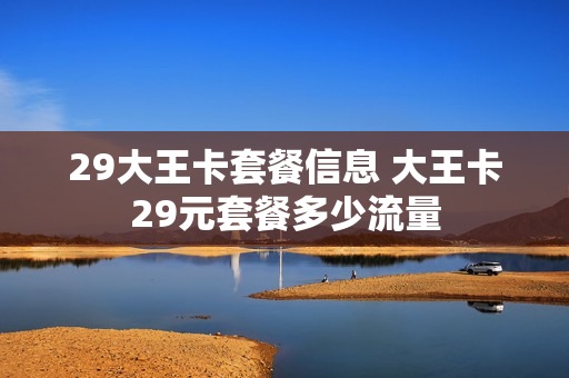 29大王卡套餐信息 大王卡29元套餐多少流量