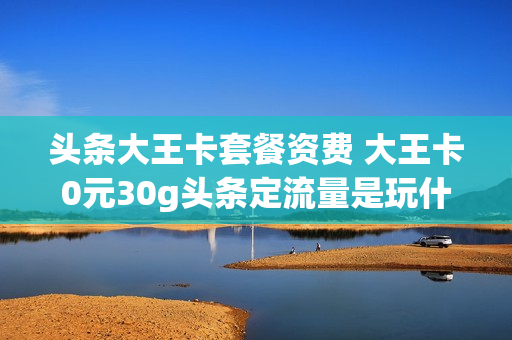 头条大王卡套餐资费 大王卡0元30g头条定流量是玩什么的