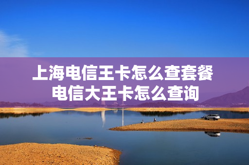 上海电信王卡怎么查套餐 电信大王卡怎么查询