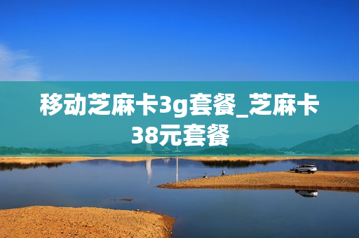 移动芝麻卡3g套餐_芝麻卡38元套餐