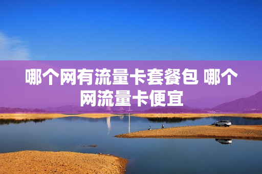 哪个网有流量卡套餐包 哪个网流量卡便宜